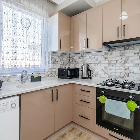 Spacious In The Historical Center Of Bursa