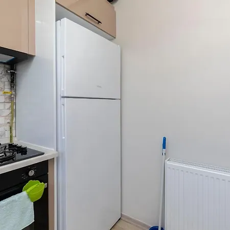Apartment Spacious In The Historical Center Of Bursa