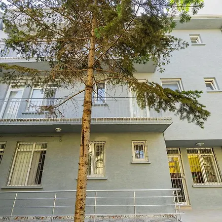 Spacious In The Historical Center Of 公寓 伯萨